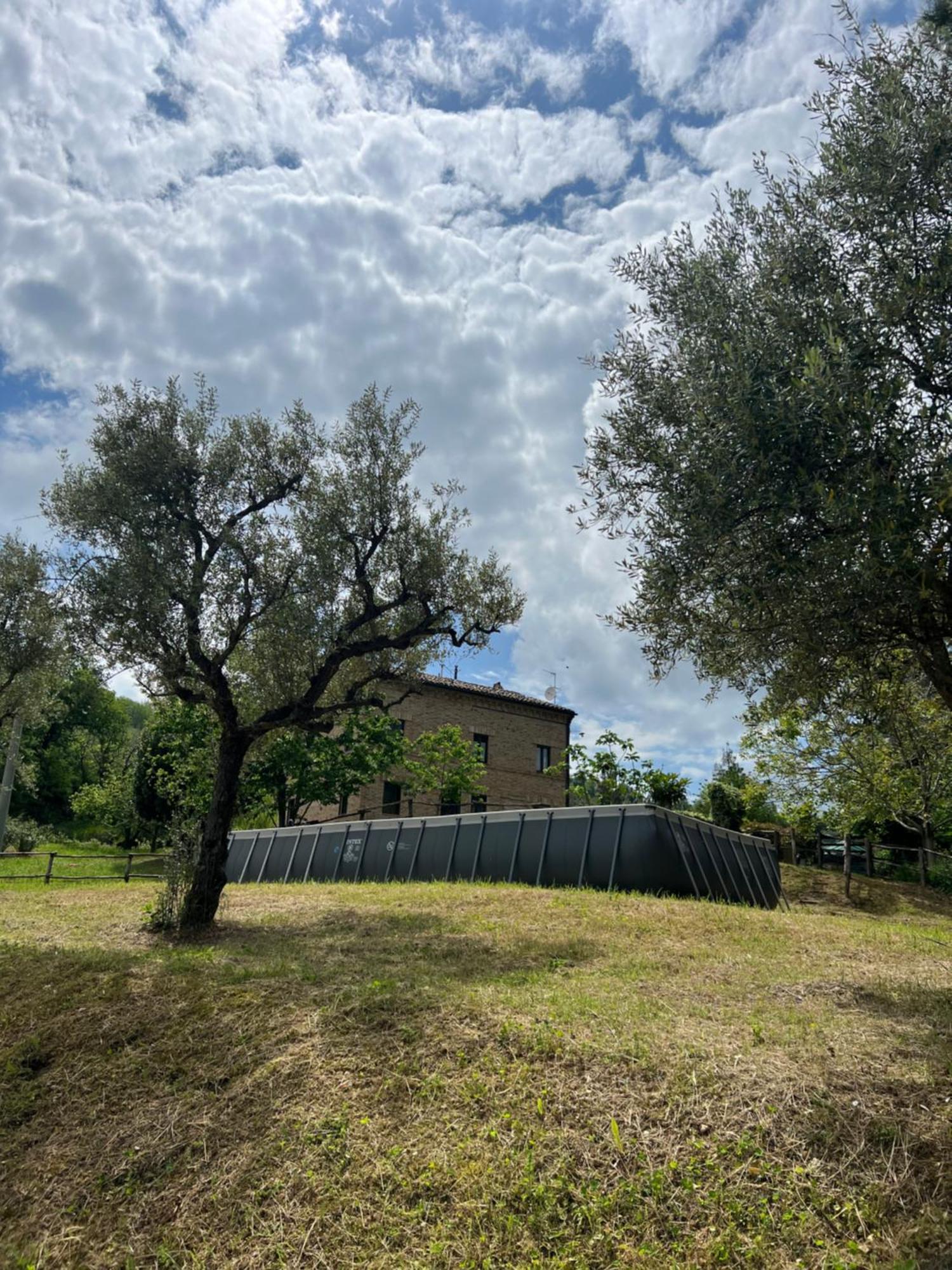 Tenuta Gran Bosco Loro Piceno Eksteriør billede