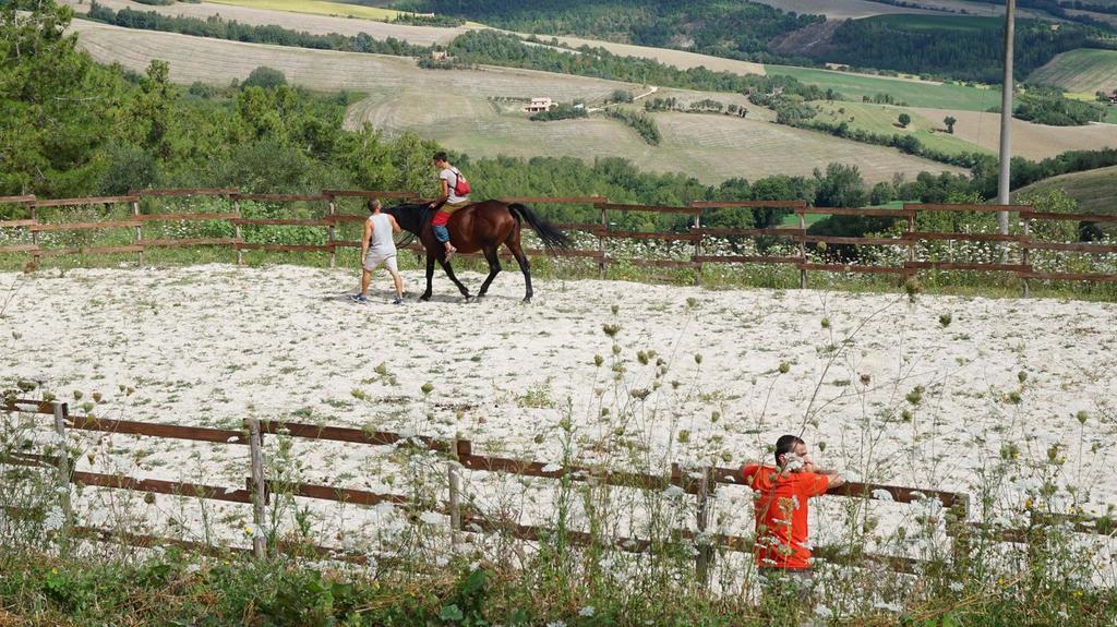 Tenuta Gran Bosco Loro Piceno Eksteriør billede