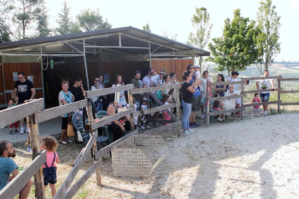 Tenuta Gran Bosco Loro Piceno Eksteriør billede
