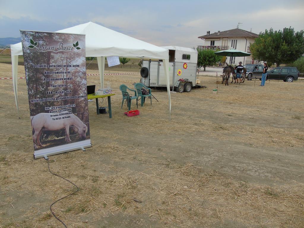 Tenuta Gran Bosco Loro Piceno Eksteriør billede