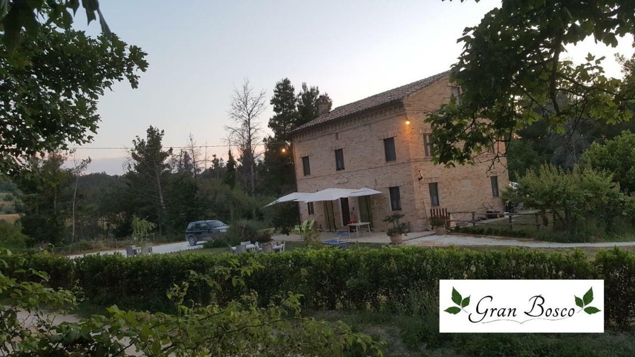 Tenuta Gran Bosco Loro Piceno Eksteriør billede