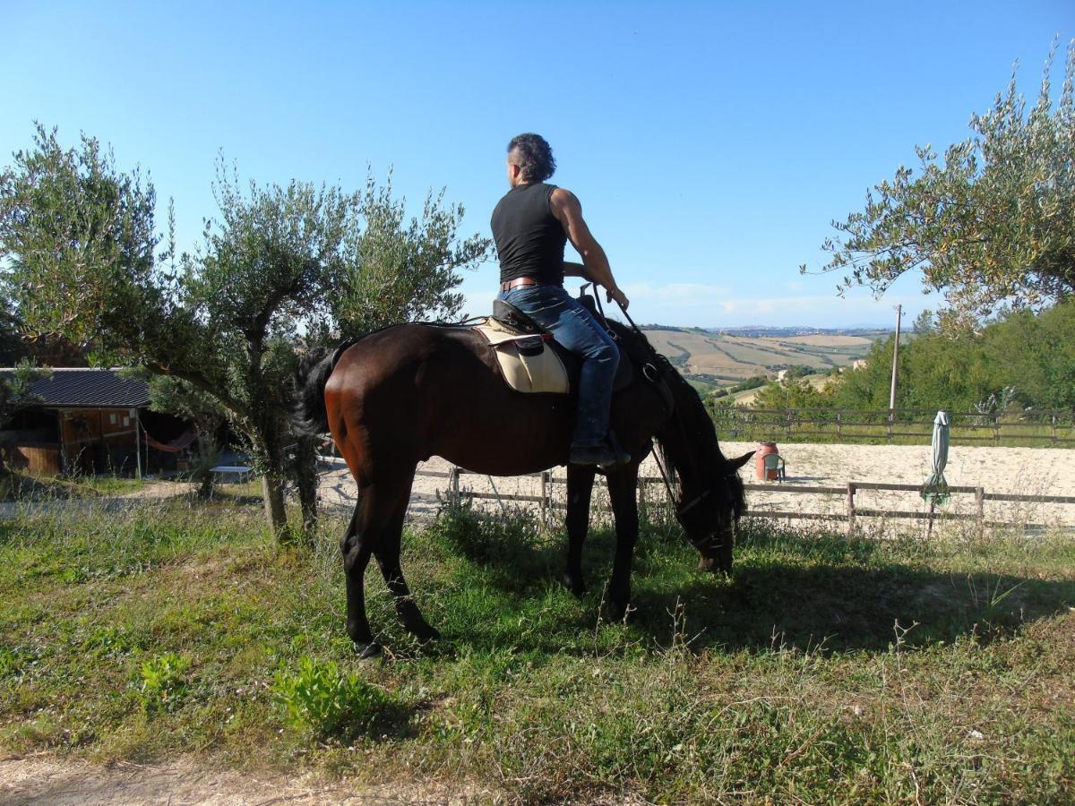 Tenuta Gran Bosco Loro Piceno Eksteriør billede